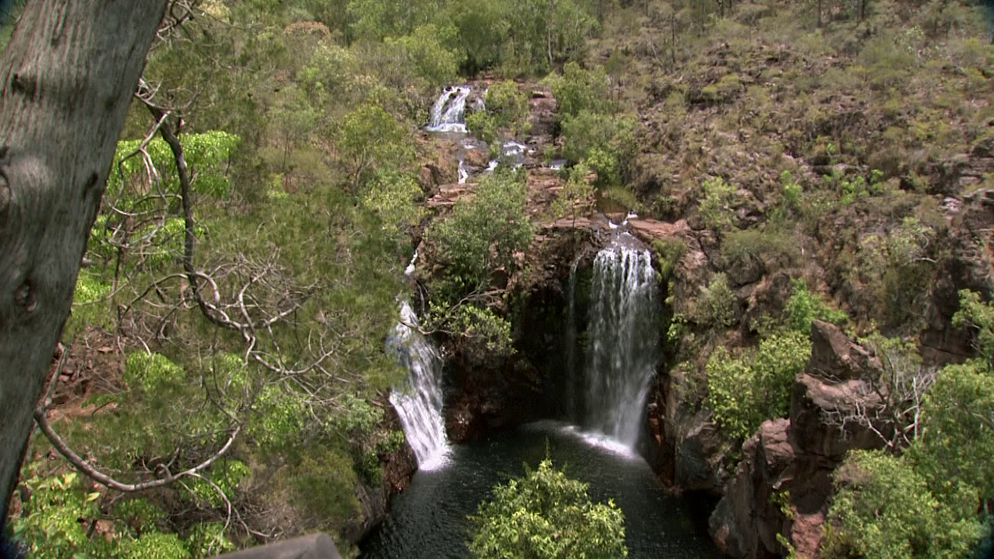 WildSide Australia